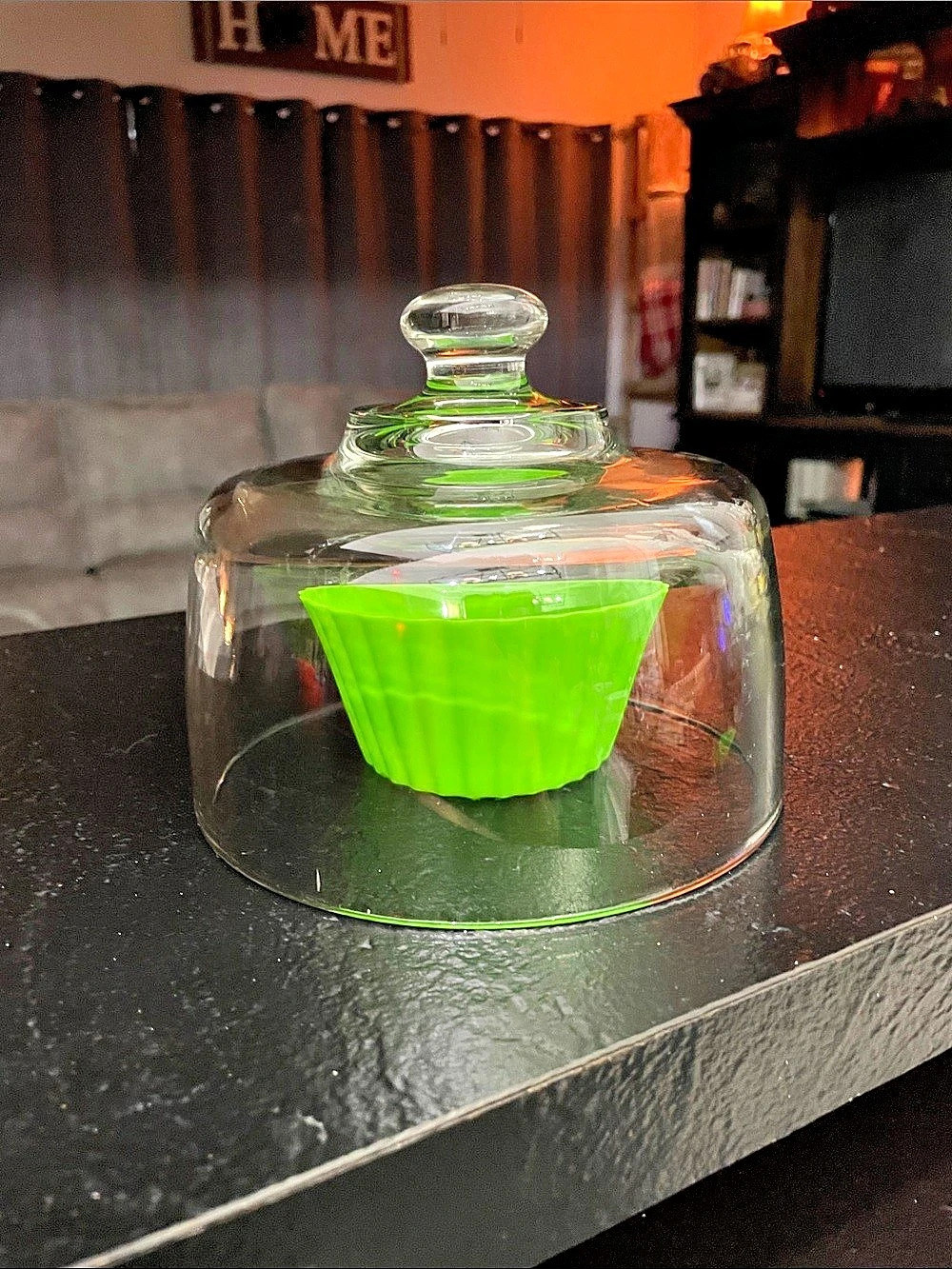Clear Glass Cloche Display Dome 5 x 6